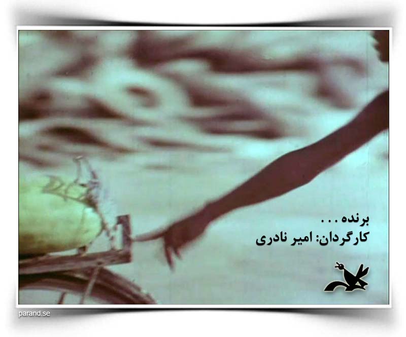 برنده